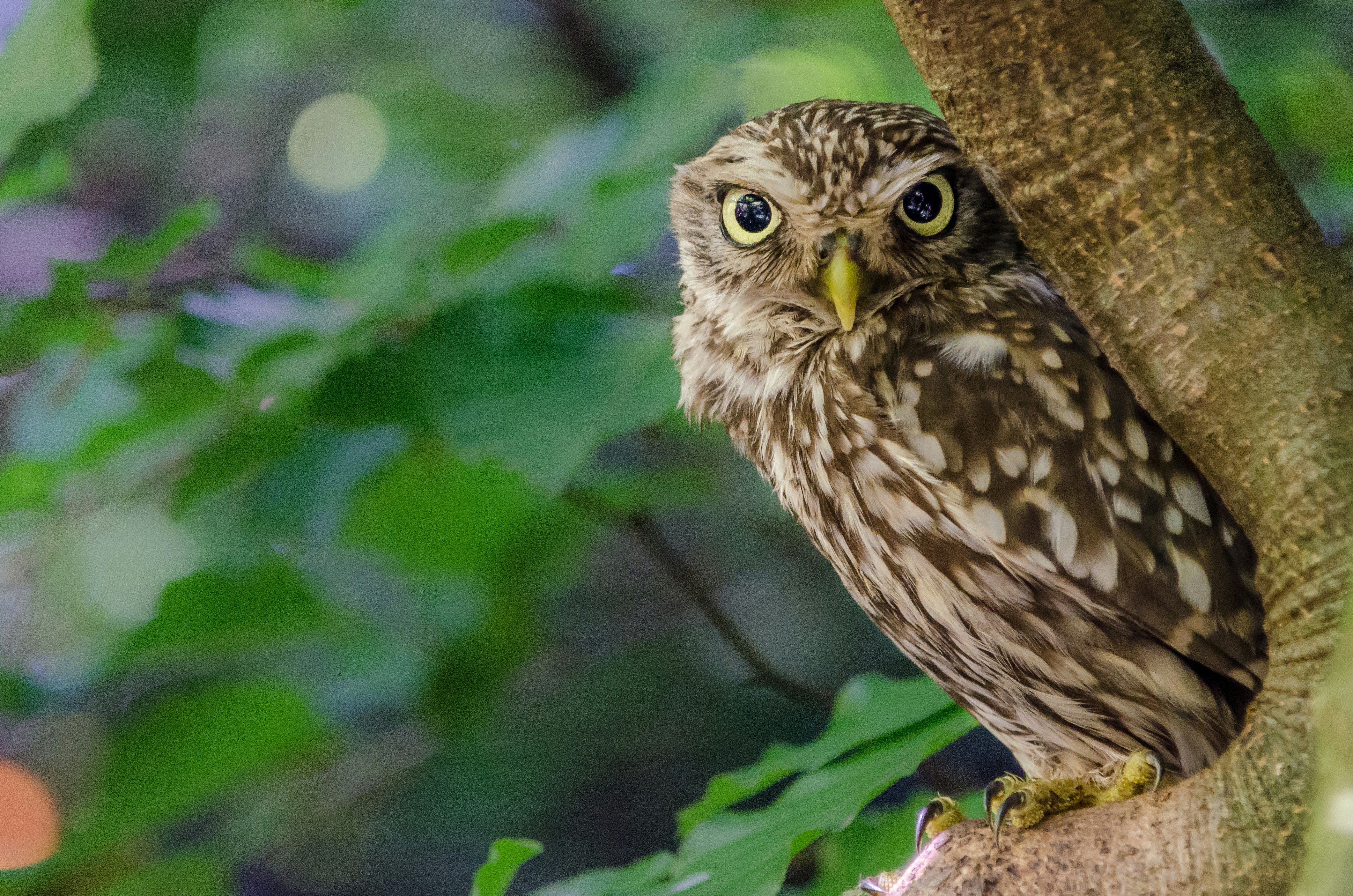 Photo by mxm_gilbert