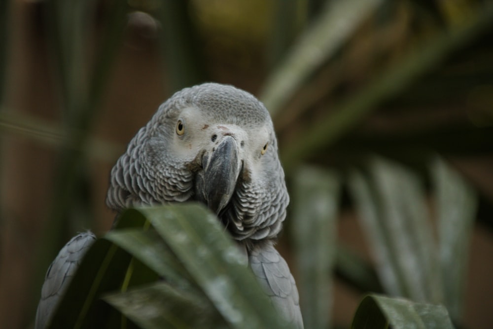 a bird sits on a branch