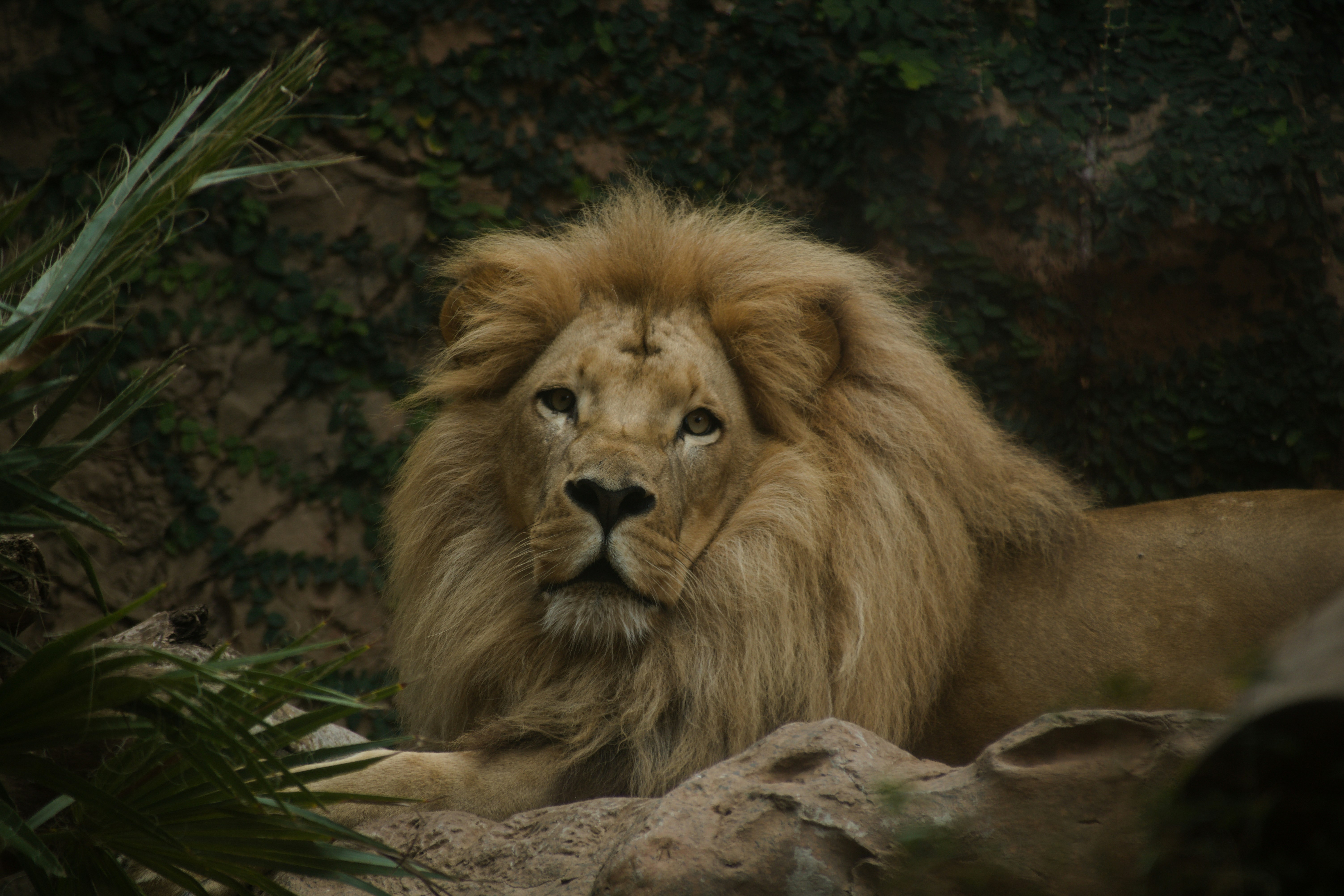 Photo by petetakesphotos