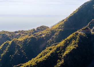 A scenic view of a vibrant Colombian landscape with mountains.