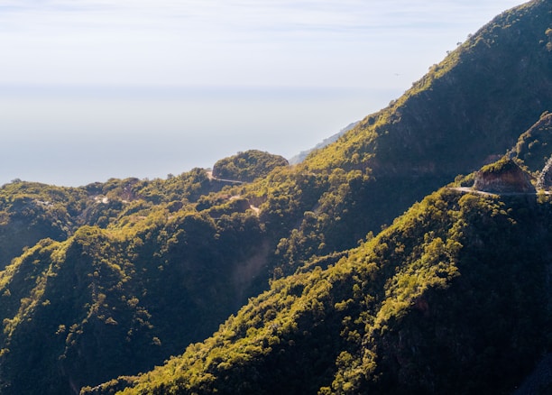 A scenic view of Bima's landscape with mountains and greenery.
