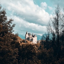 a castle on a hill