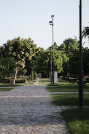 A sleek decorative solar street light illuminating a quiet urban park pathway at dusk.
