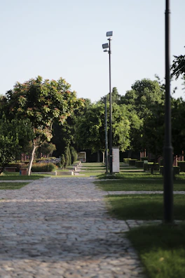 A row of solar garden lights glowing softly in a landscaped park.
