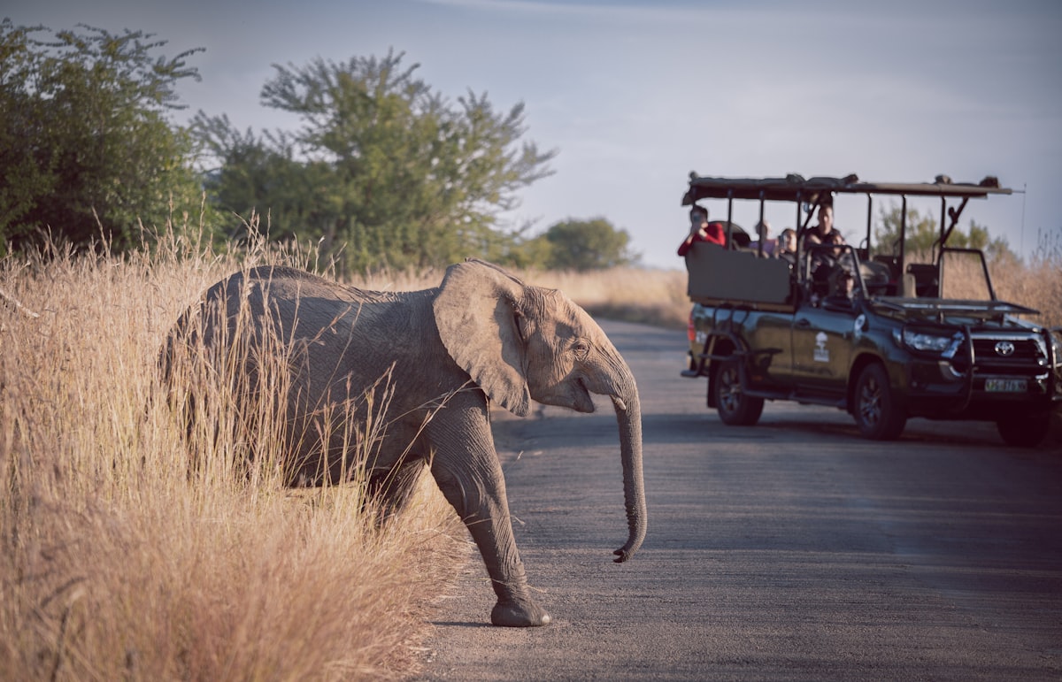 Pilanesberg National Park