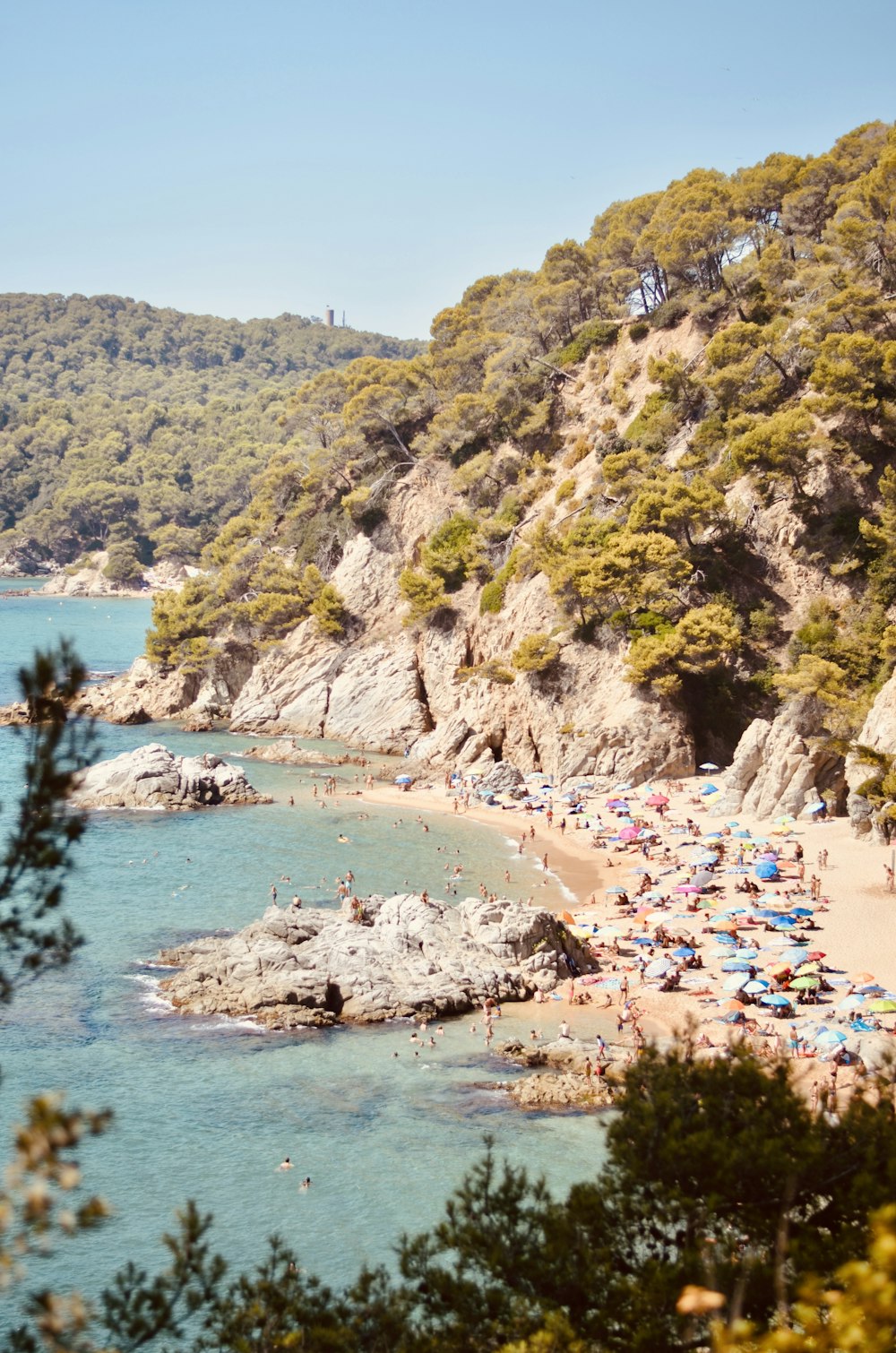 a beach with people on it