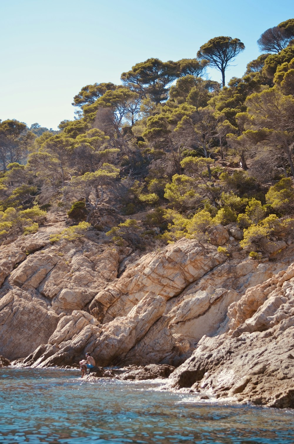 a person on a rock in the water by a hill with trees