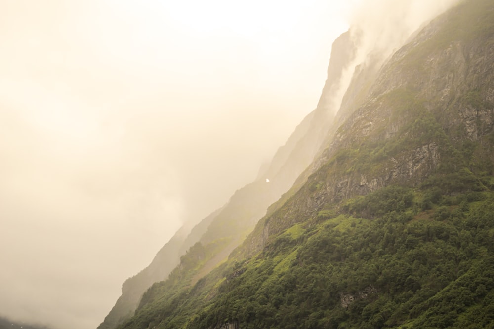 a mountain with trees on it