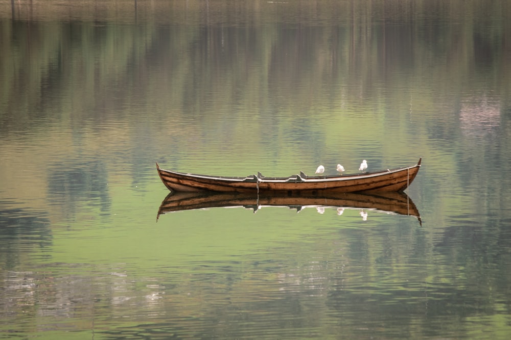 um barco com pássaros sobre ele