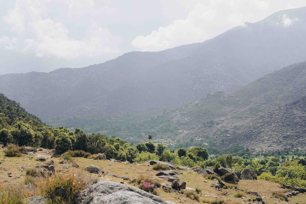 a rocky area with trees and mountains in the background