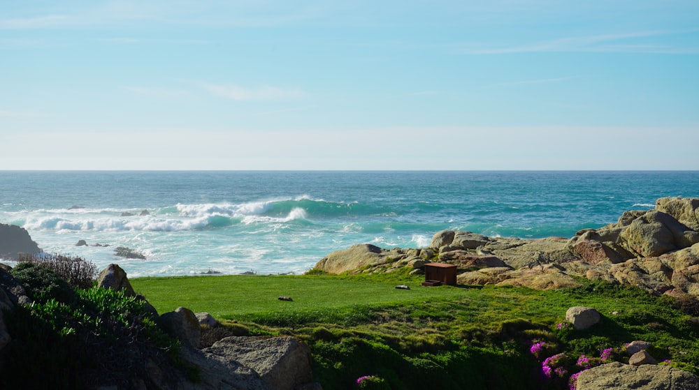 a grassy area with rocks and a body of water in the background