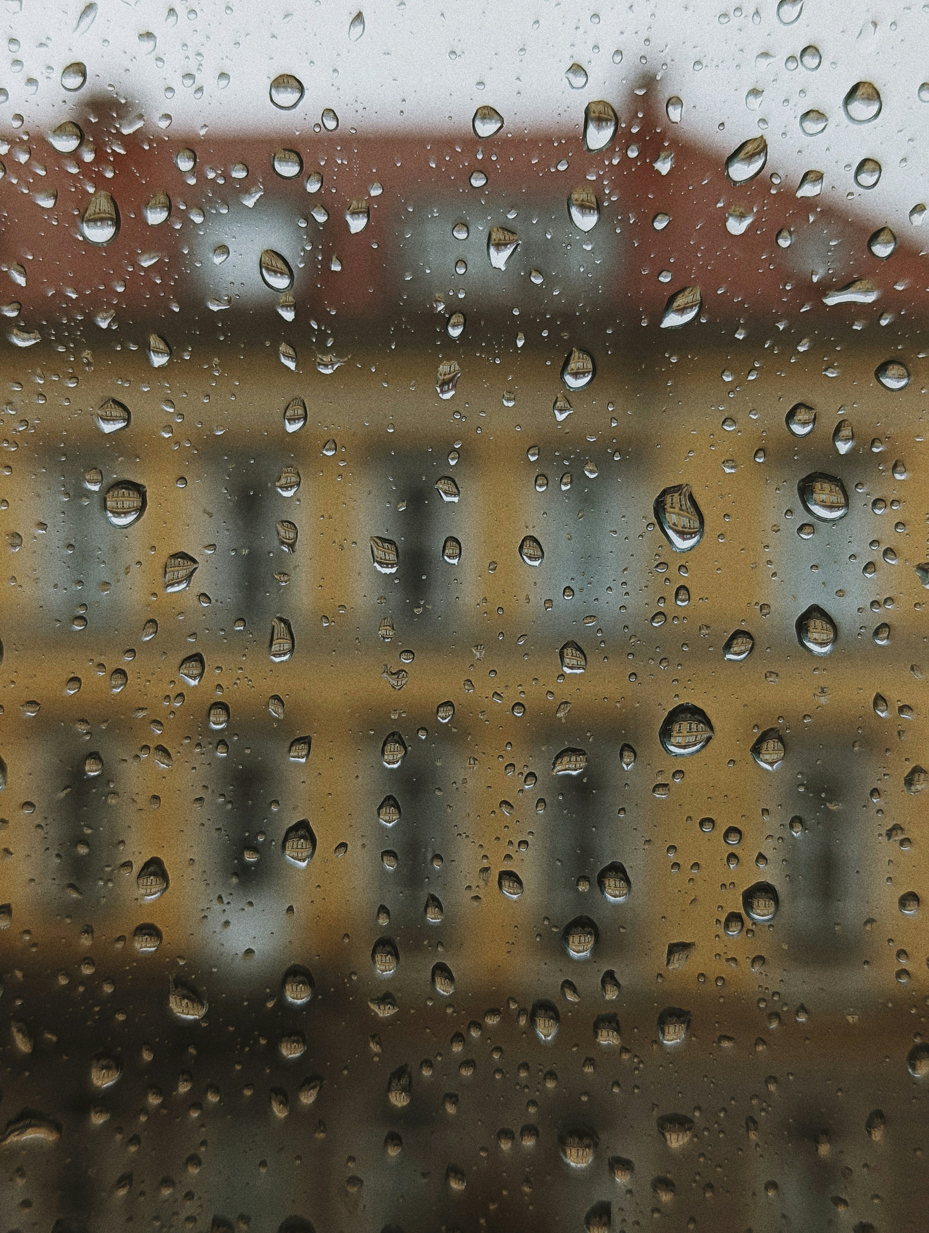Rain drops on a window