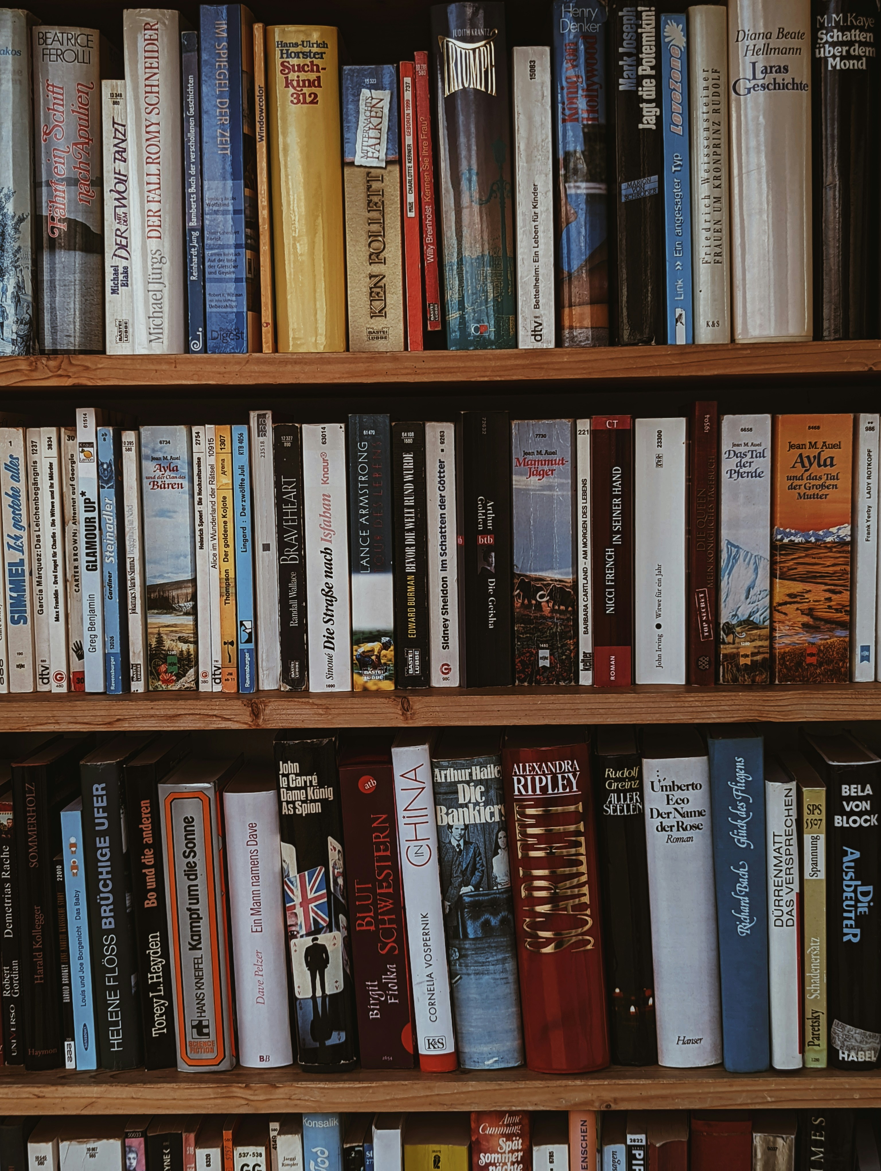 Photo by benjamin_raffetseder