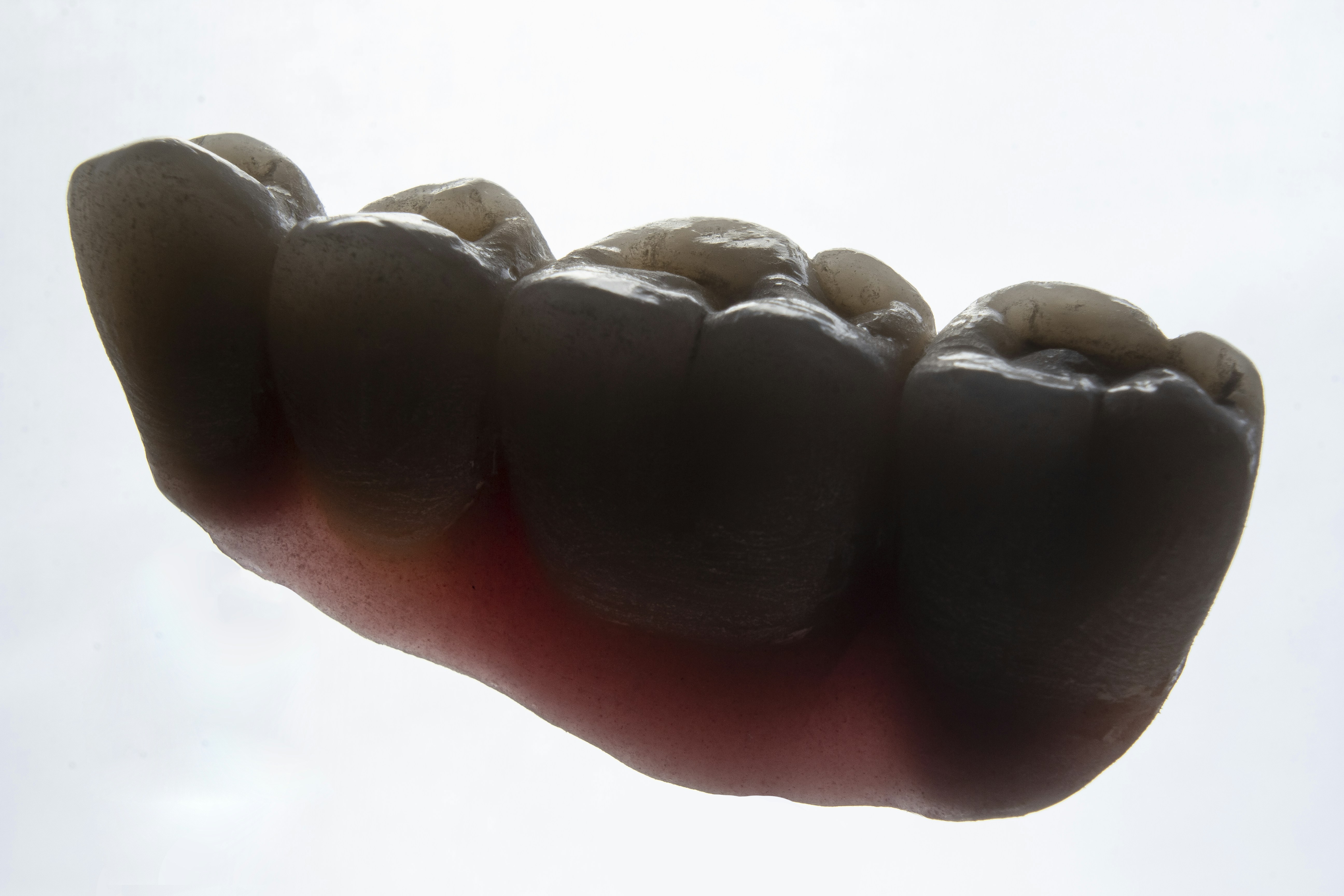 a hand holding a bunch of beans