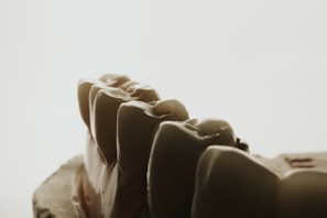 a close-up of hands shaking
