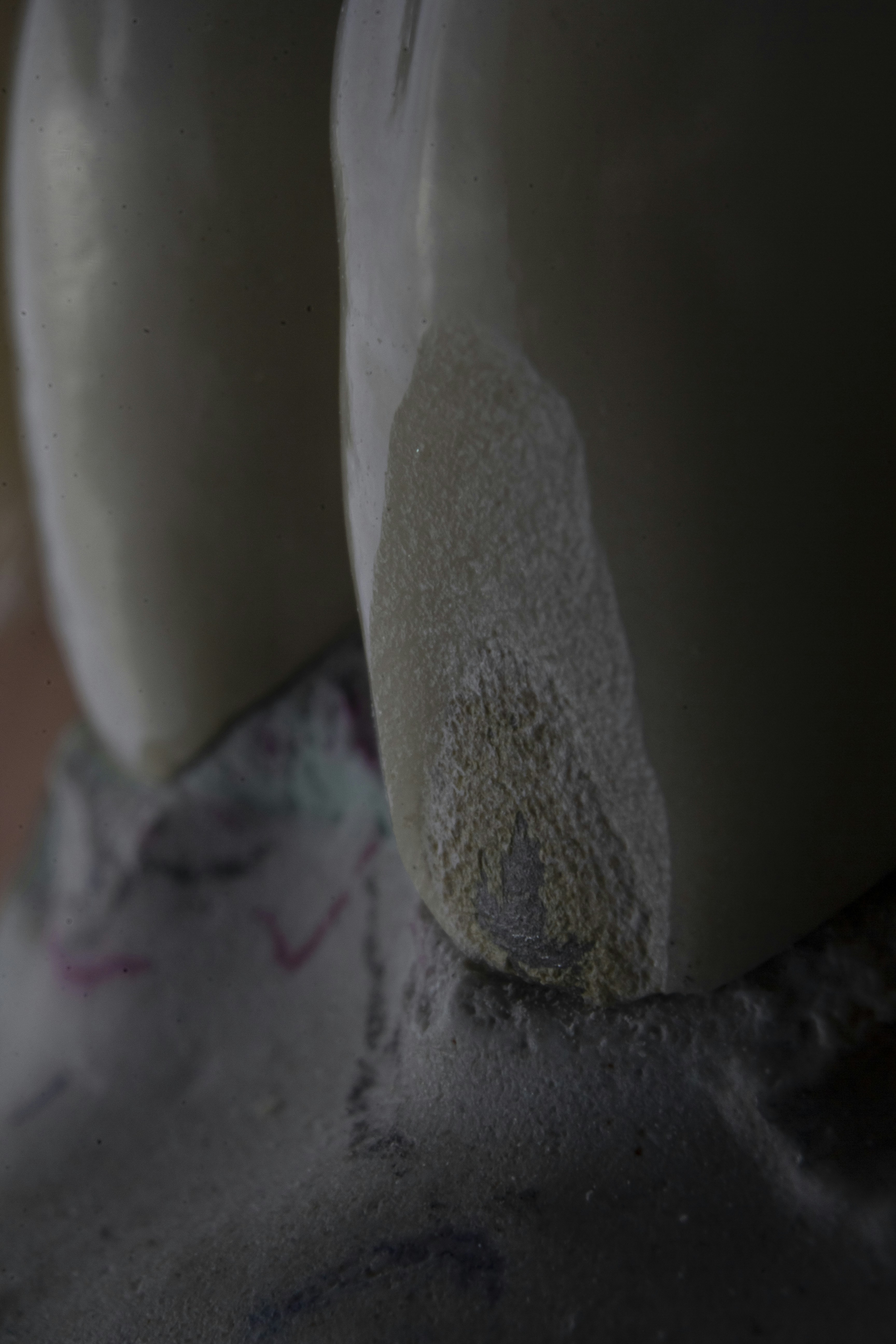 Photo by dentistozkanguner