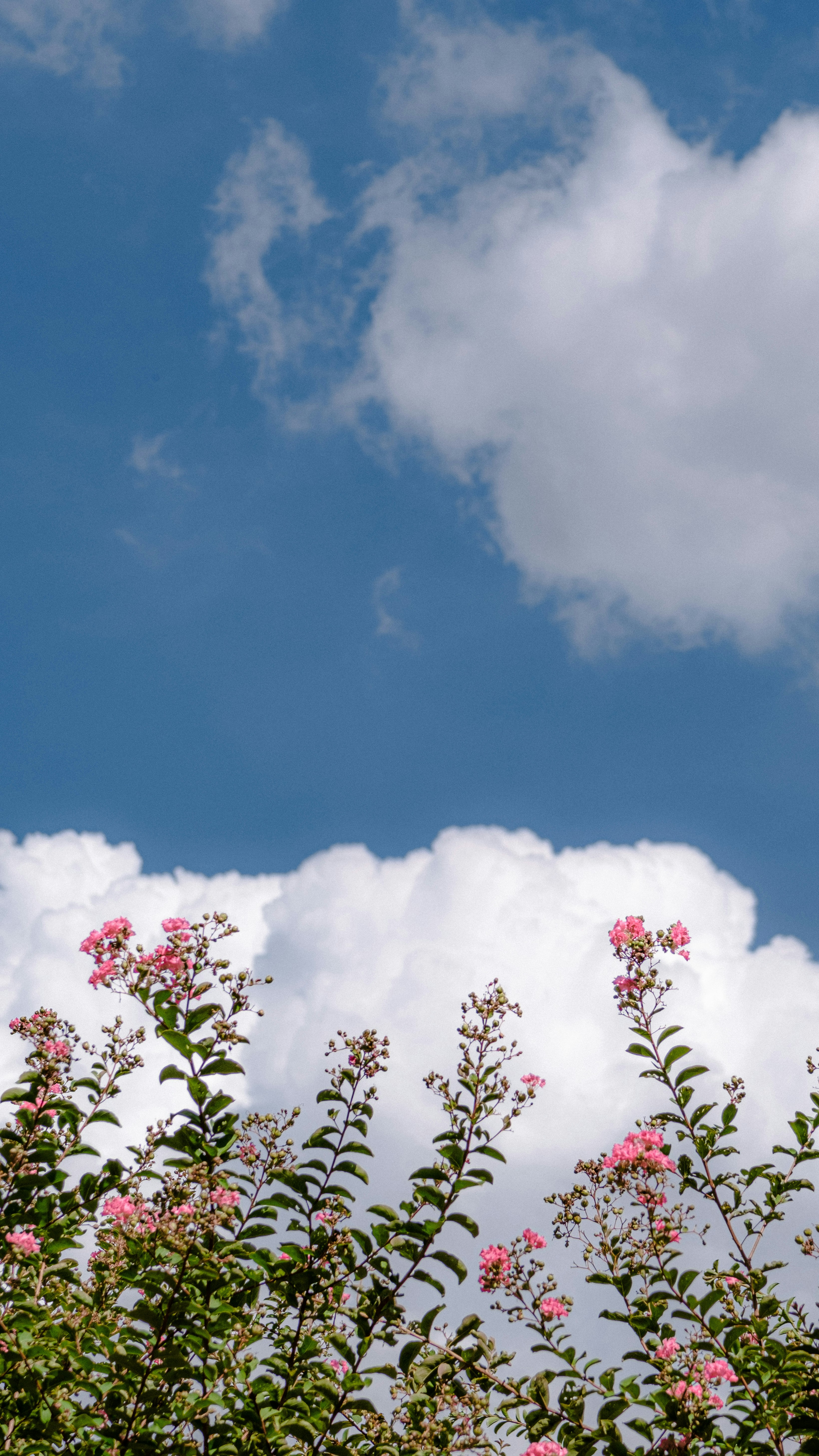 Photo by xiexianghua