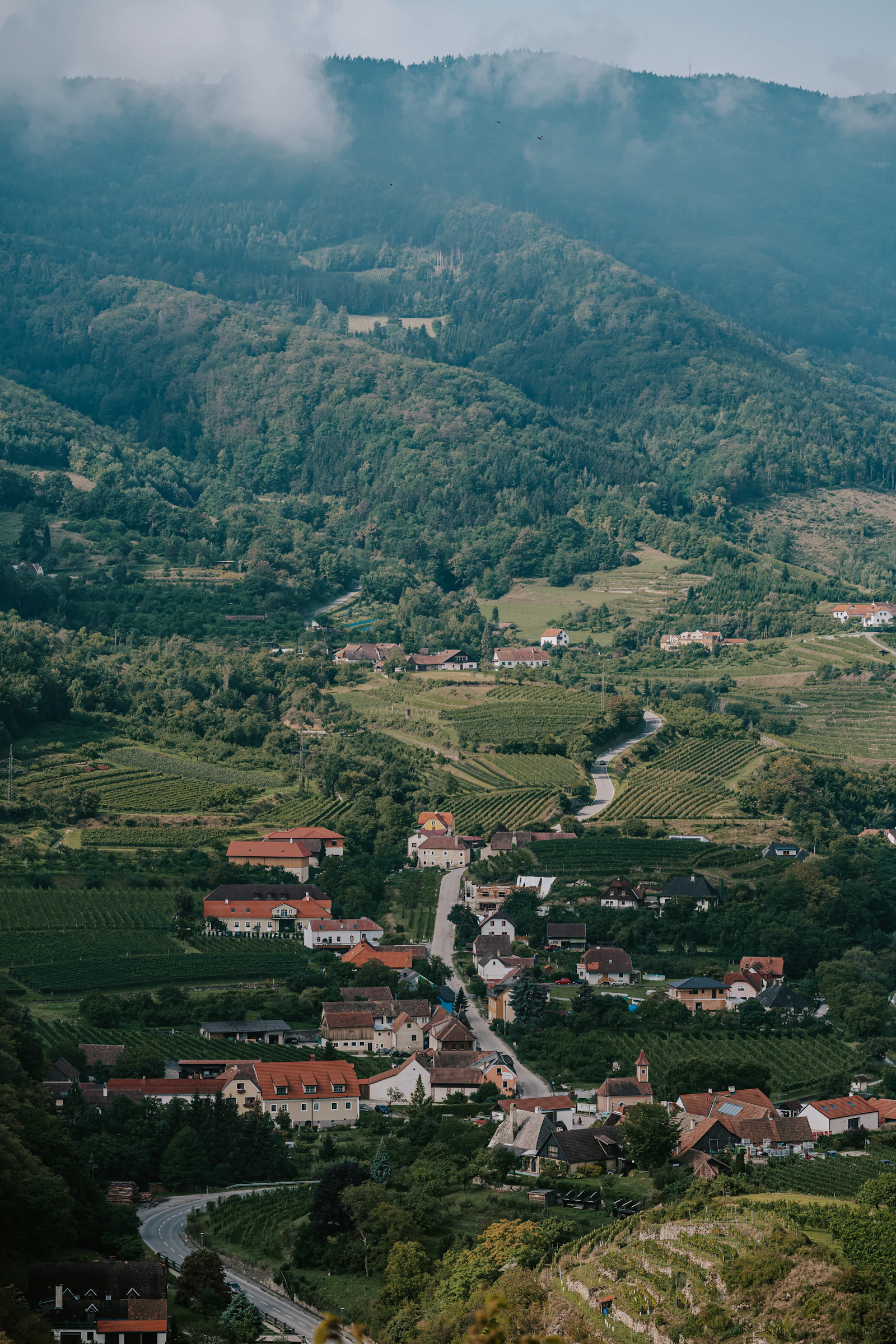 Travel photograph: Spitz beside the Danube, surrounded by terraced Wachau slopes and wooded hills.