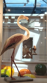 An artistic display of flamingo-themed merchandise at the club.