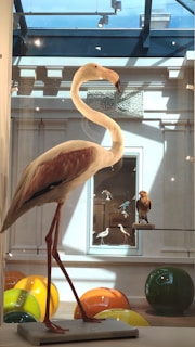 An artistic display of flamingo-themed merchandise at the club.