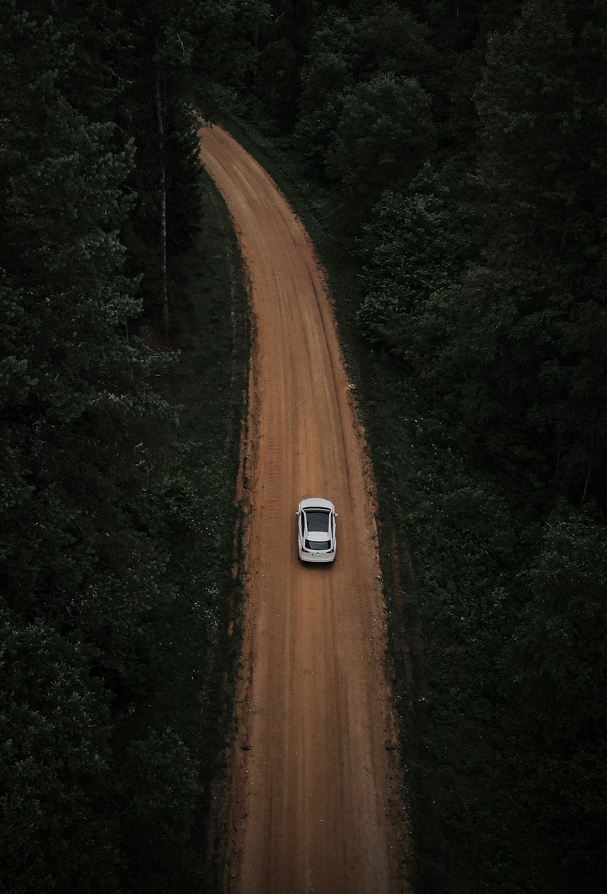 Photo by christina_kozak