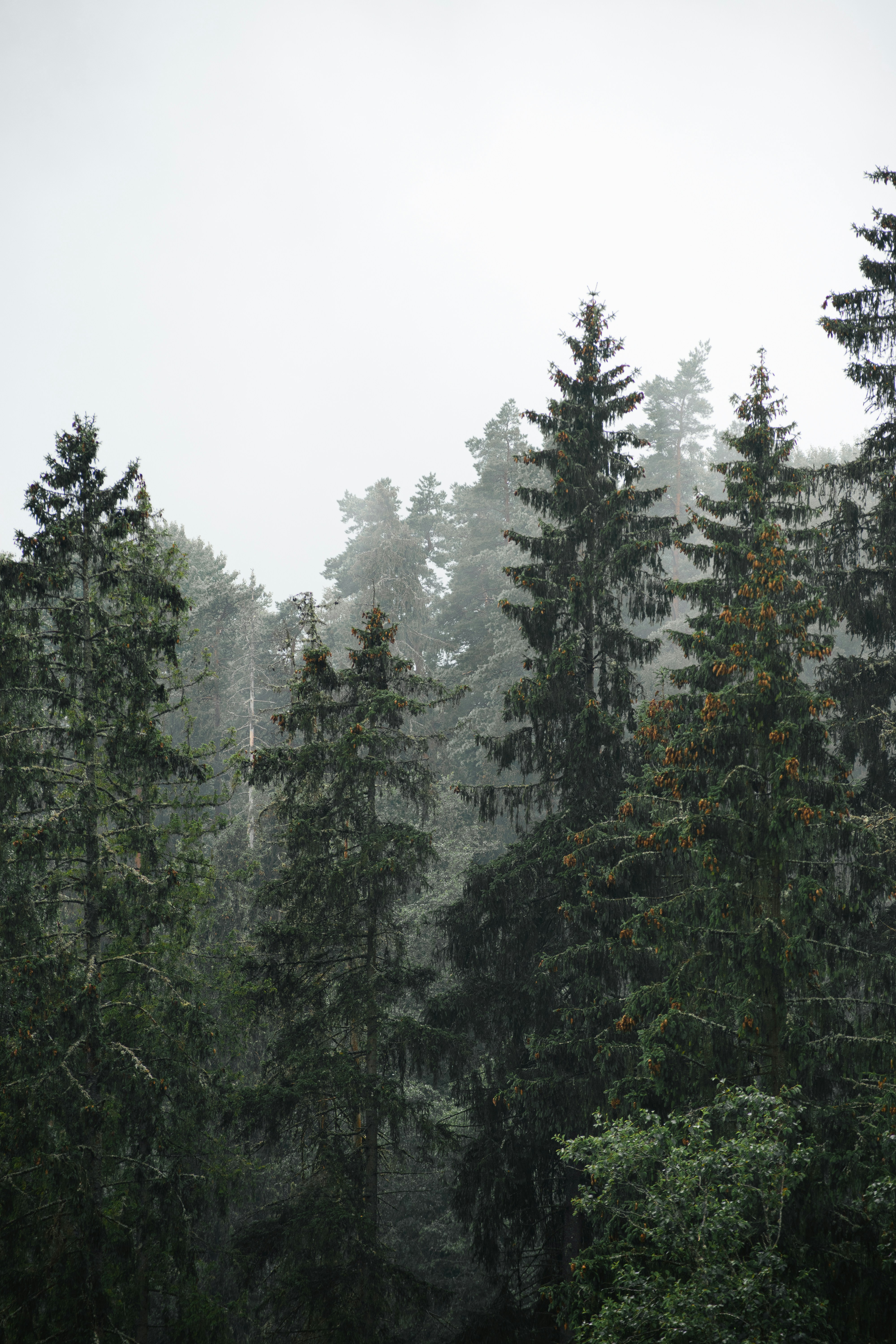 Photo by christina_kozak