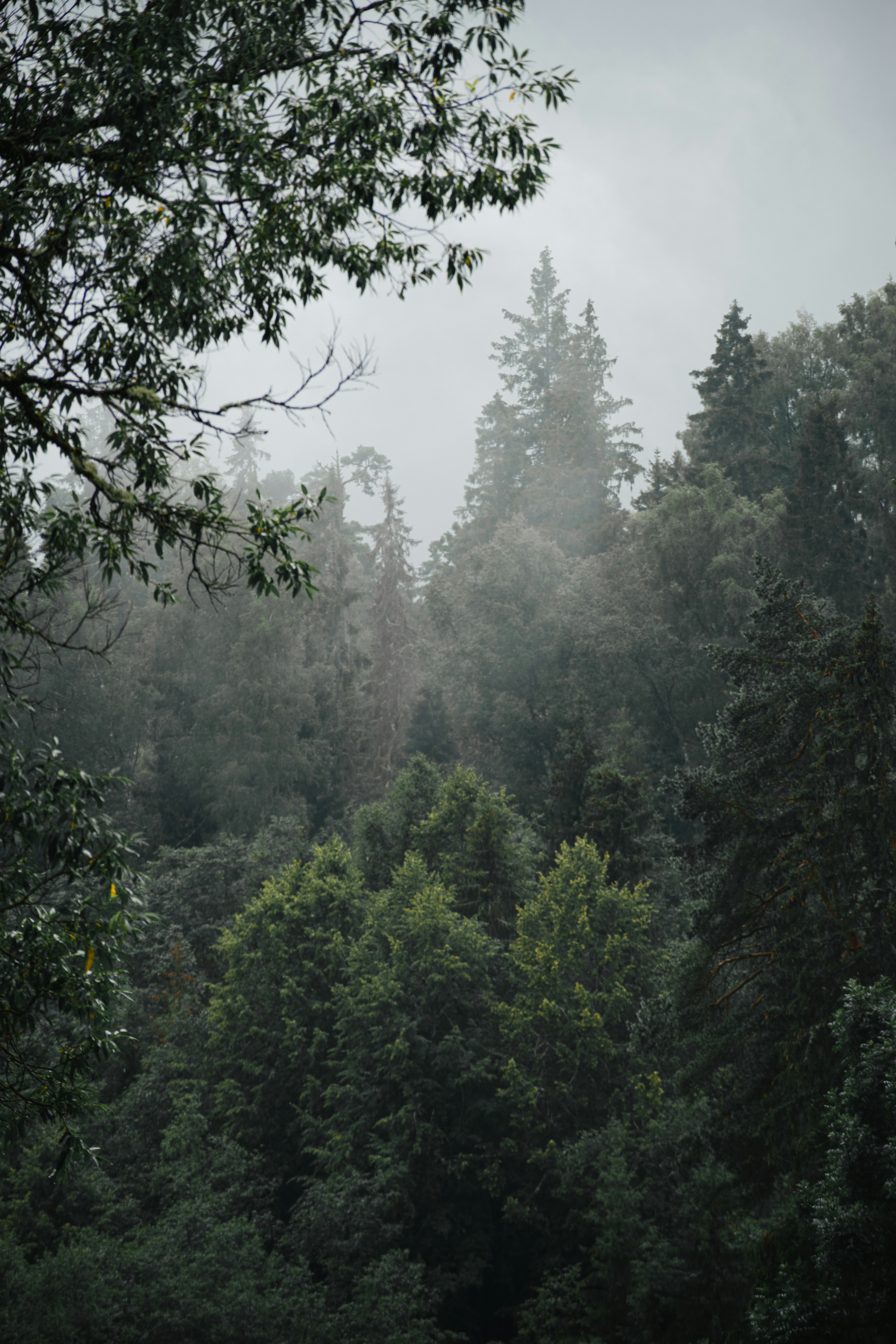 Photo by christina_kozak