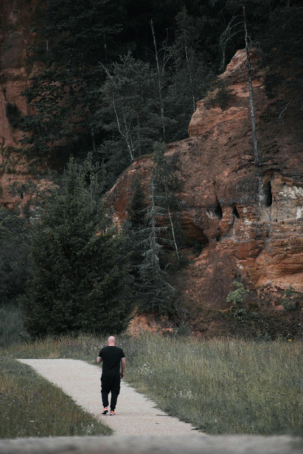 a man walking on a path in a forest