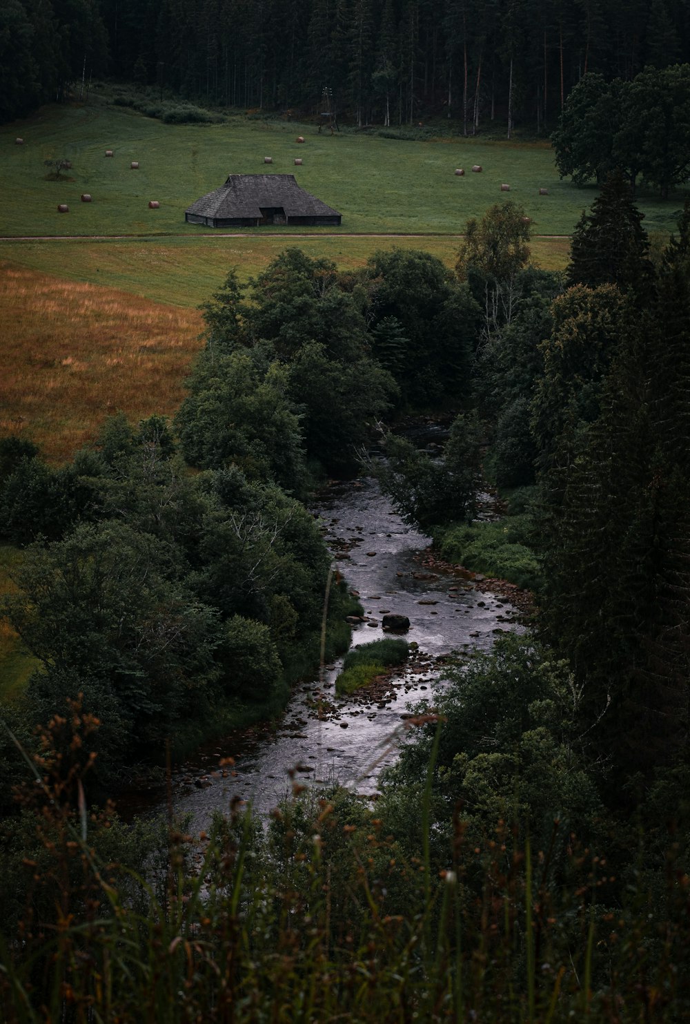 a river running through a grassy area