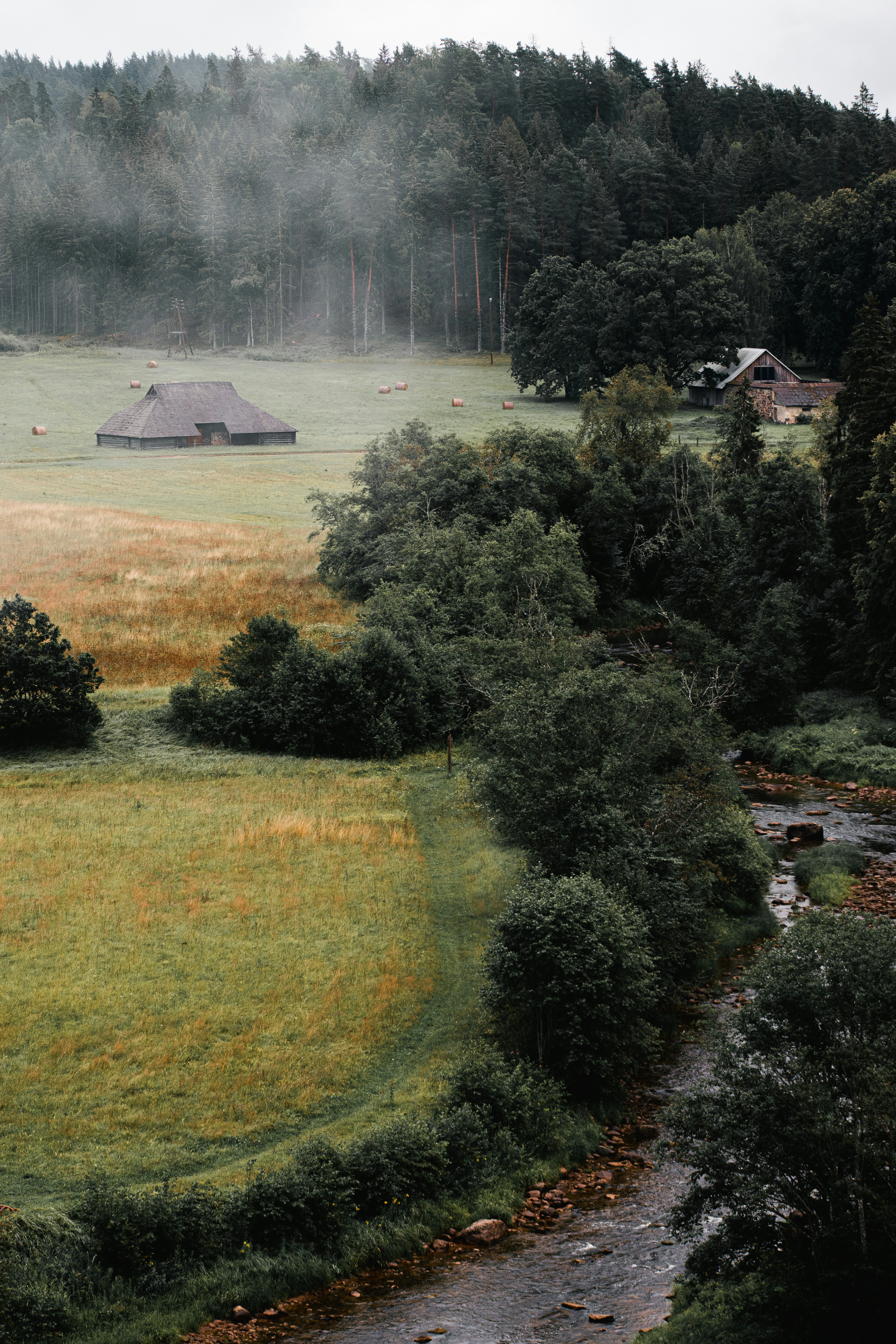 Photo by christina_kozak