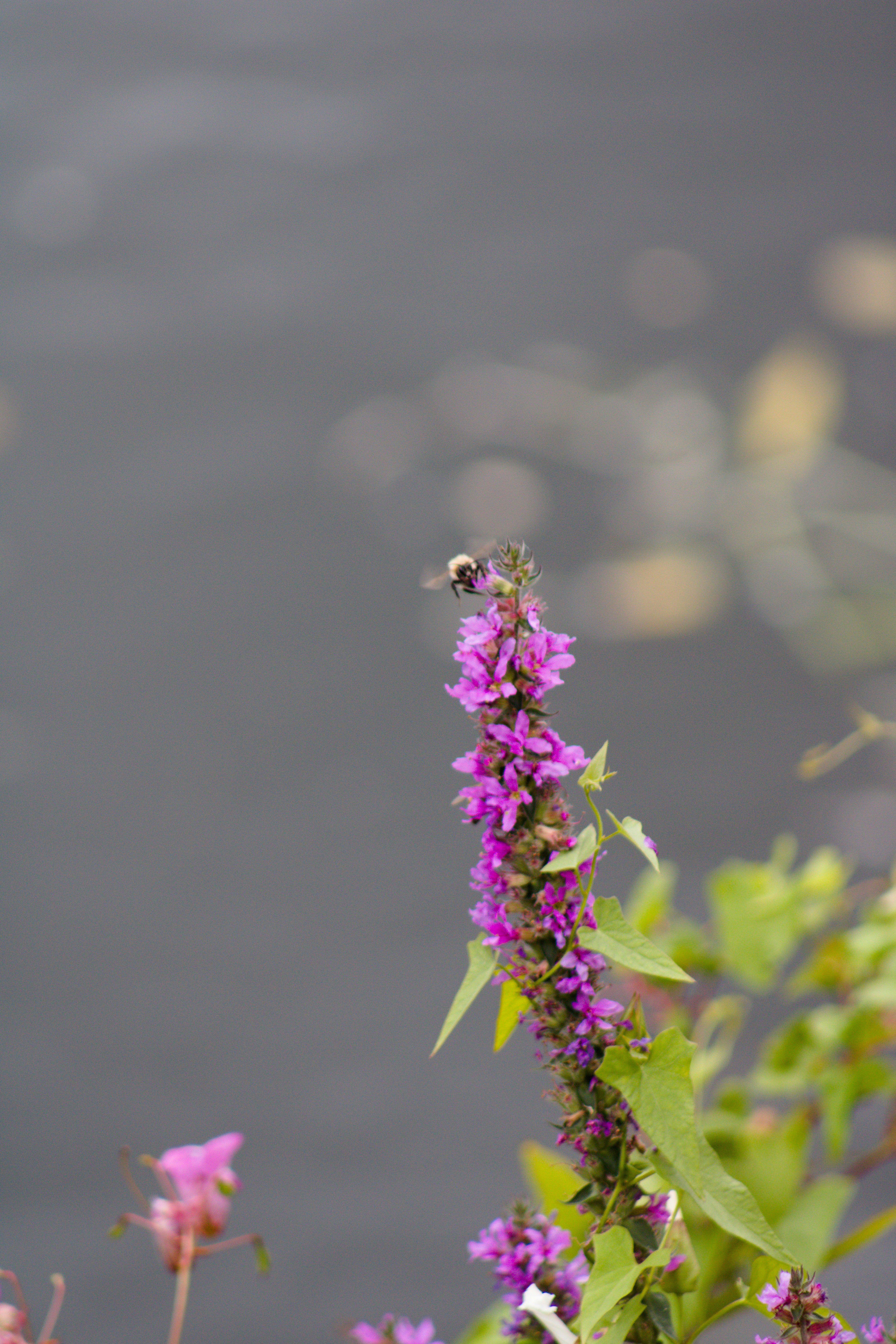 Photo by mjne