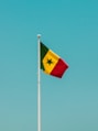 a flag on a pole