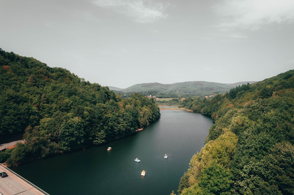 a river with trees on the side