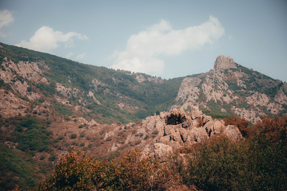 a rocky mountain with trees