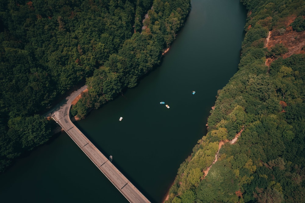 a river with a bridge and trees