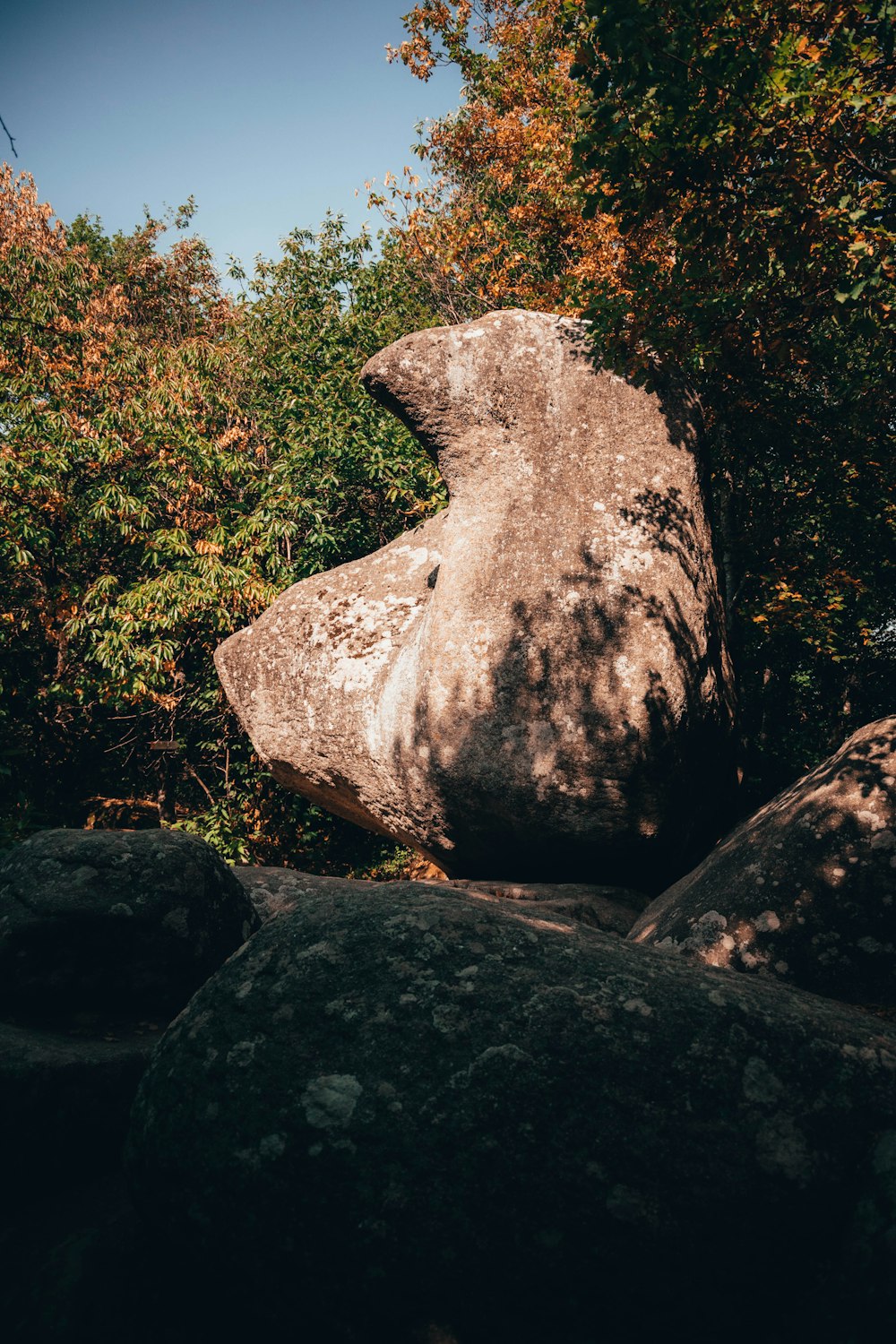 a large boulder in front of trees