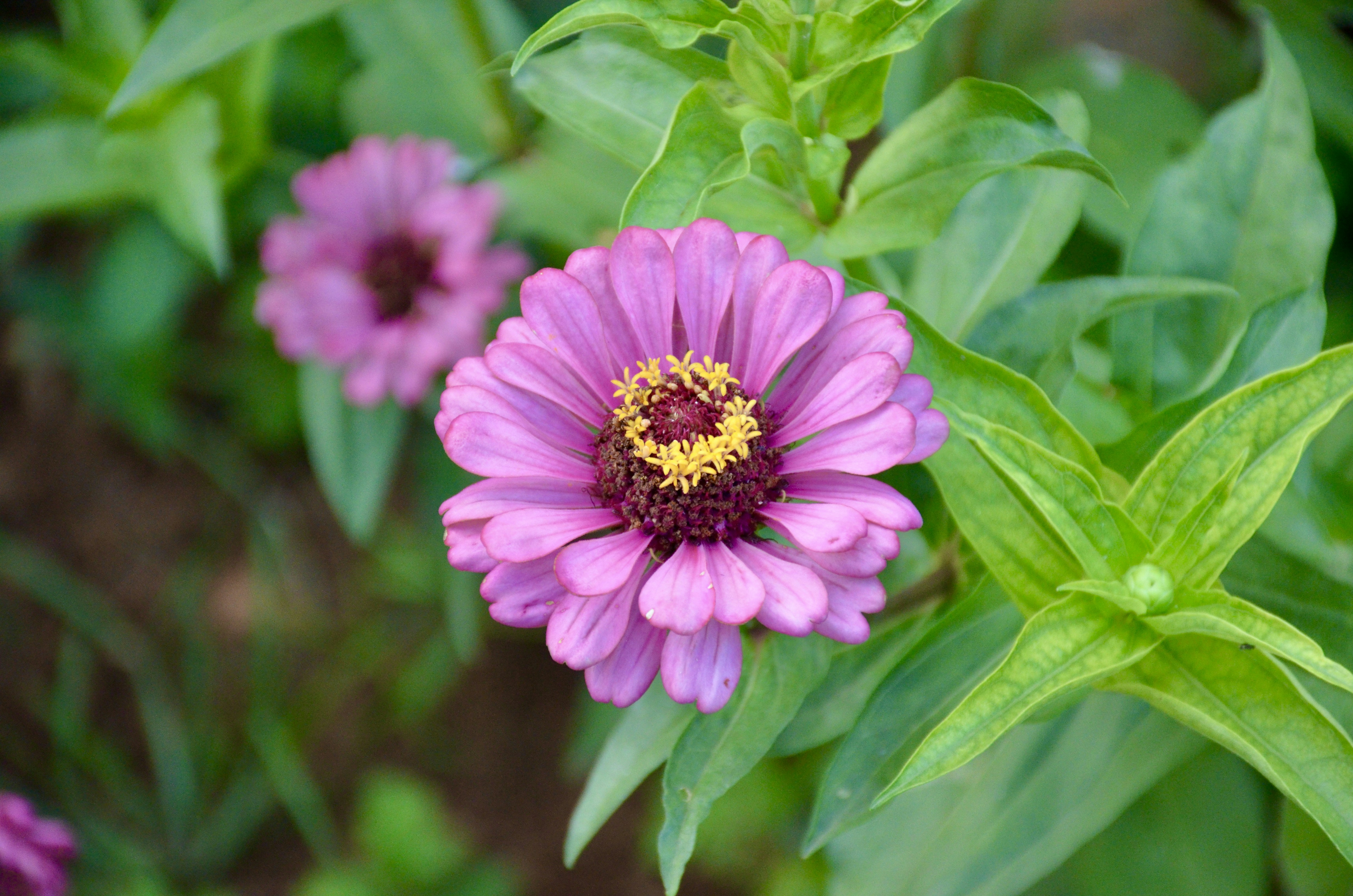 Photo by rajeshsaminathan