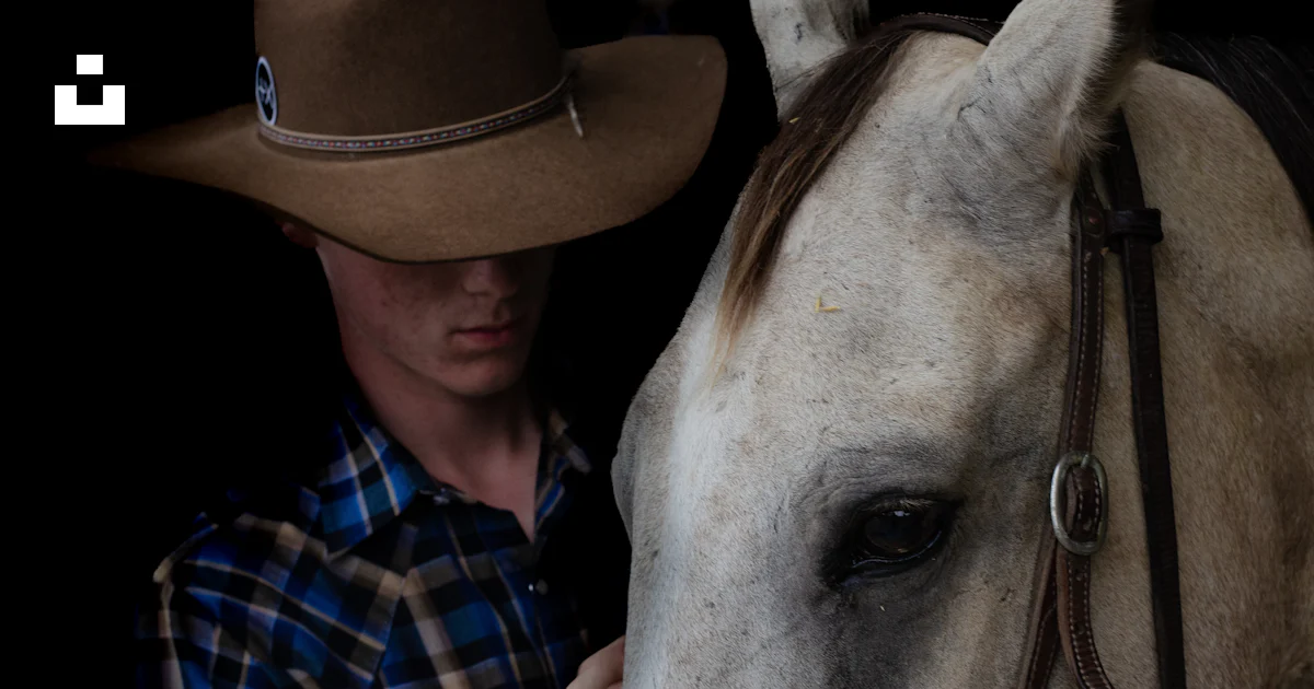 Bill Rice Ranch Stables A boy with a horse photo – Free 627 bill rice ranch rd Image on Unsplash