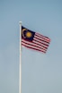 a flag on a pole