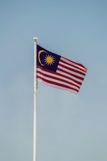 a flag on a pole