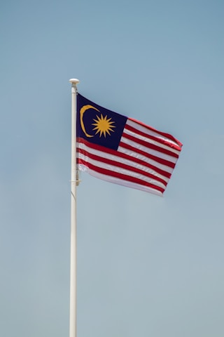 a flag on a pole
