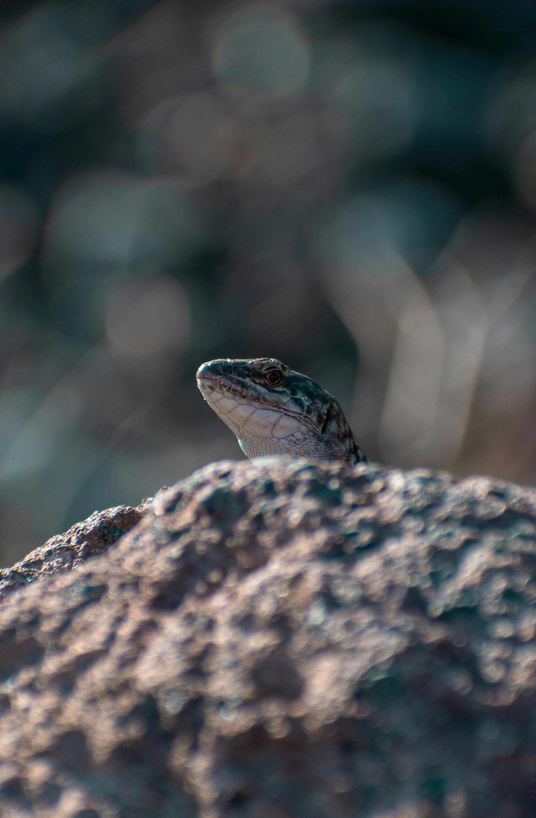 Photo by christina_kozak