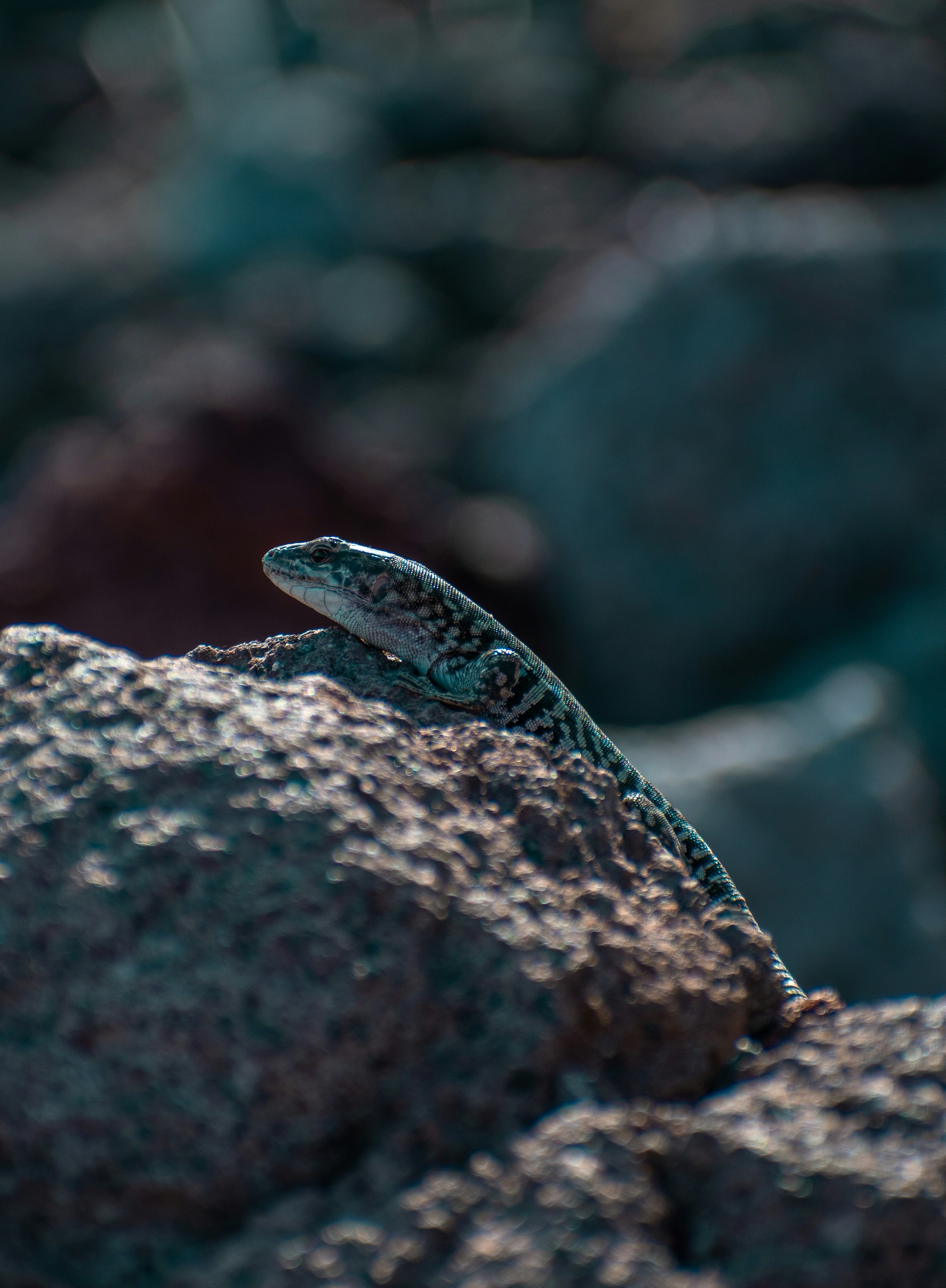 Photo by christina_kozak