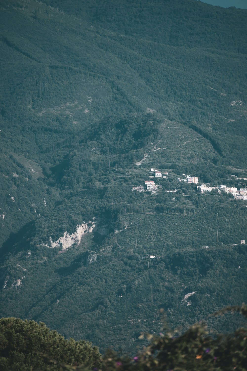 a large green landscape