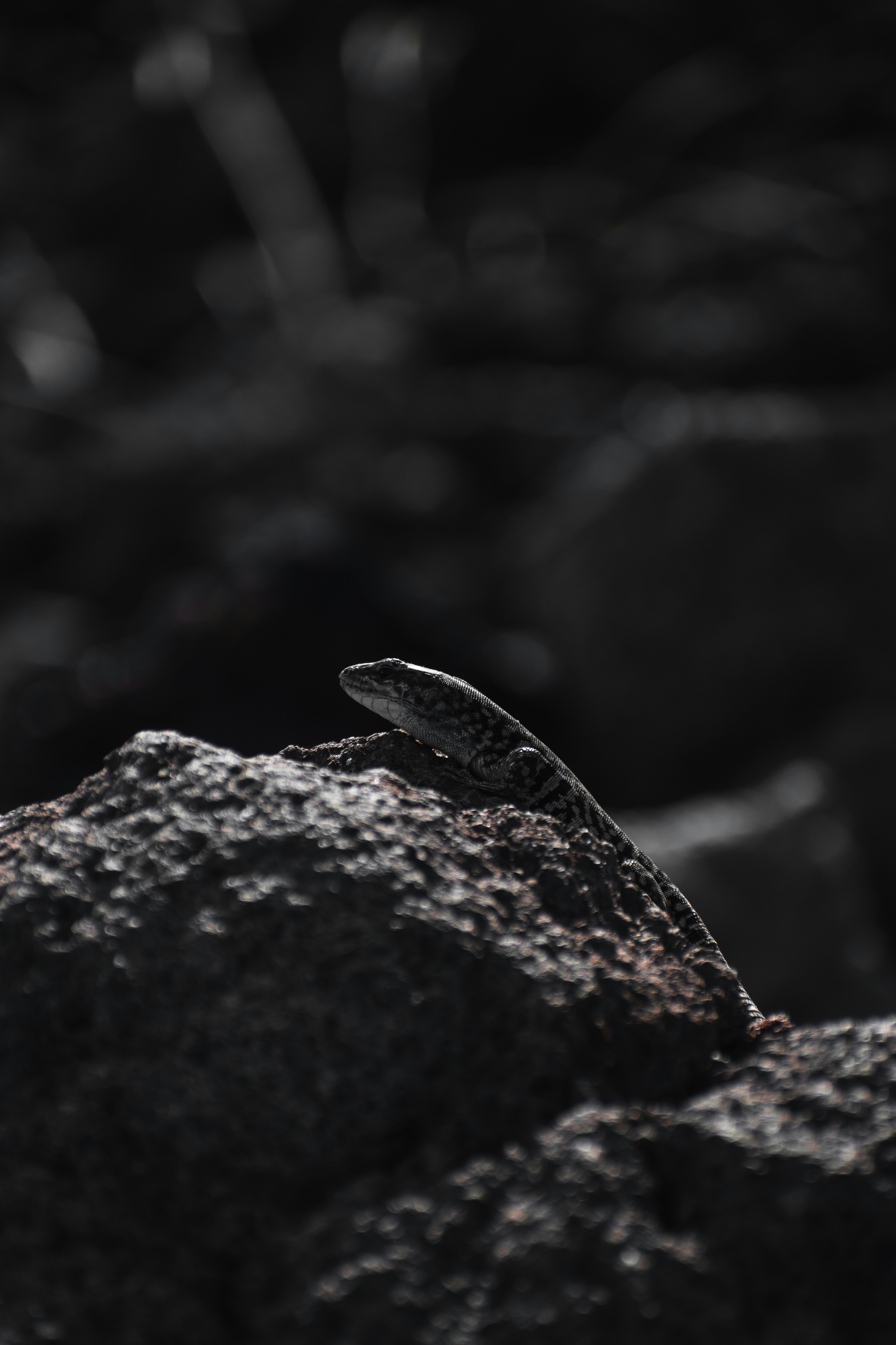 Photo by christina_kozak