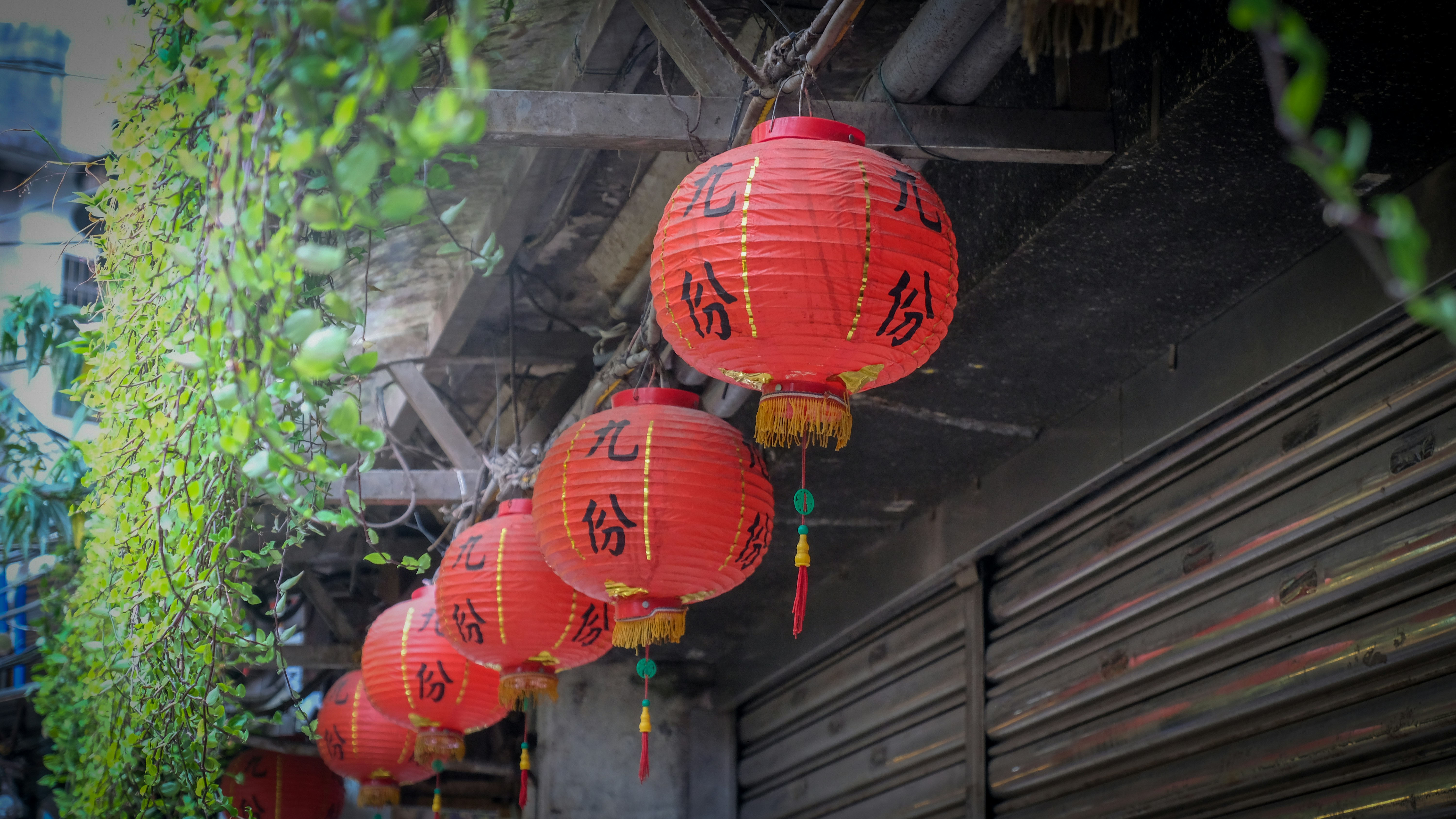 Photo by pau1inephotography