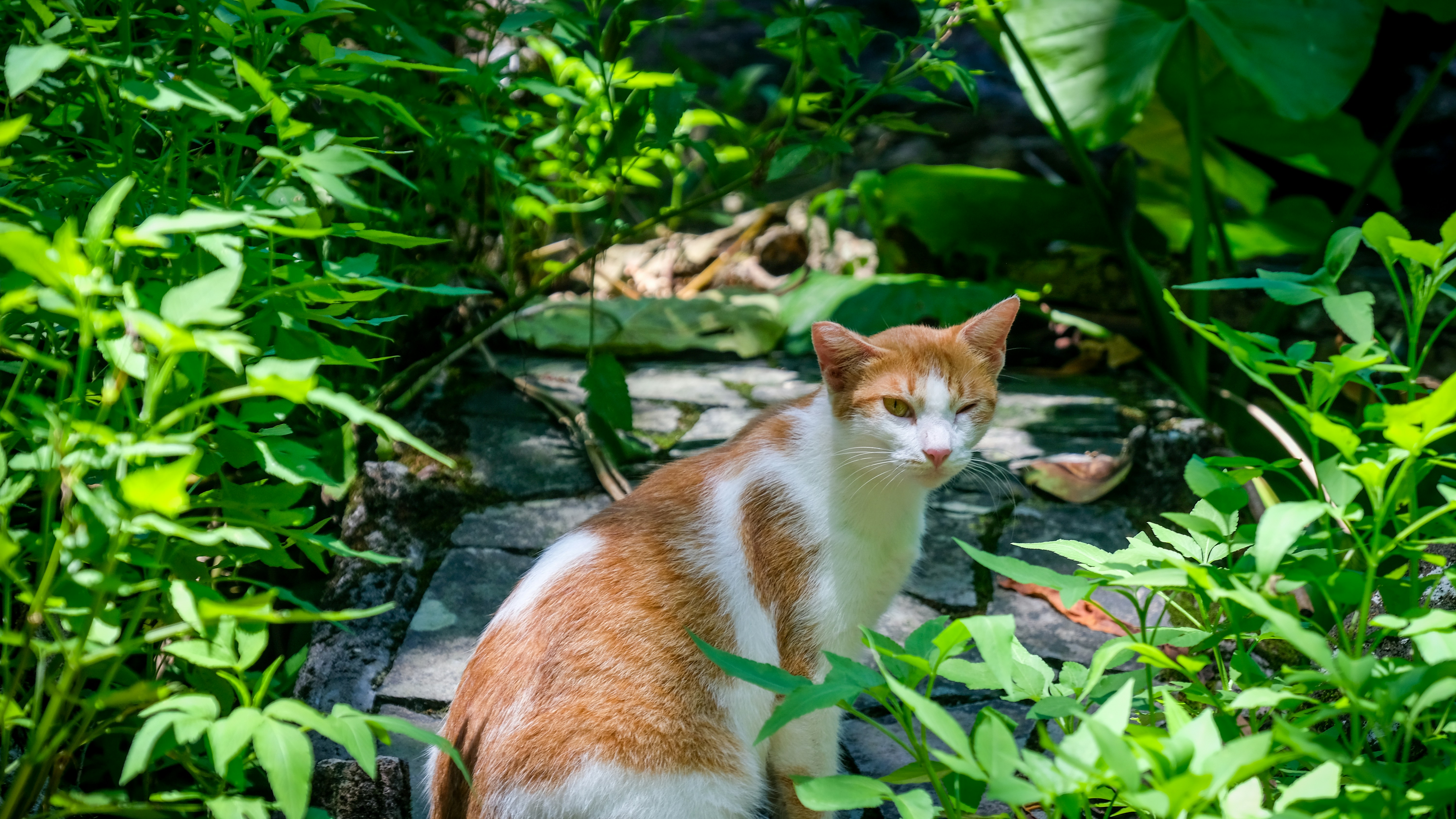 Photo by pau1inephotography