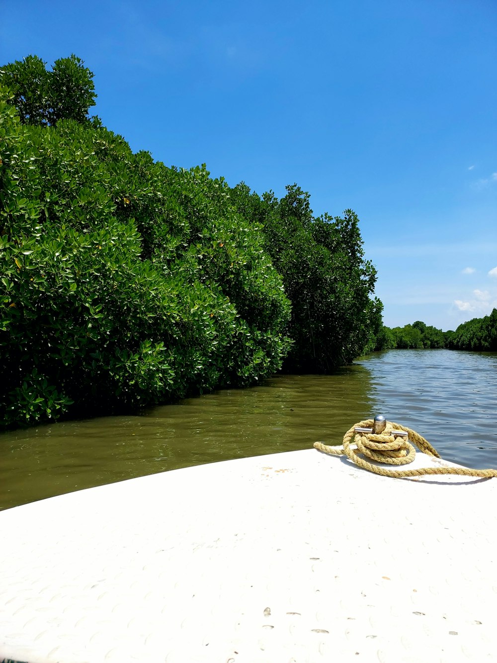 a boat on a river