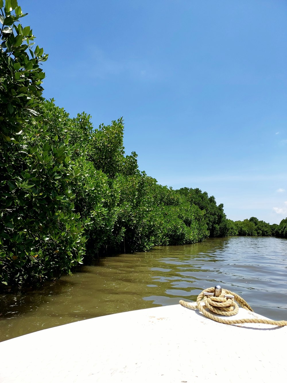 a boat on a river