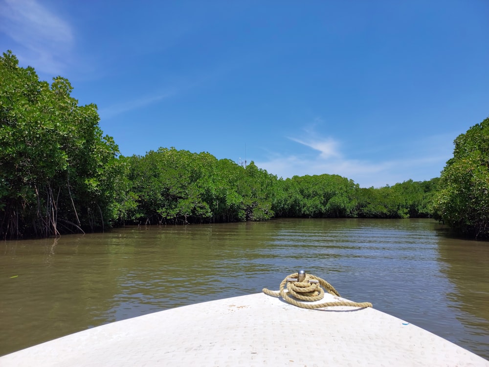 a boat on the water